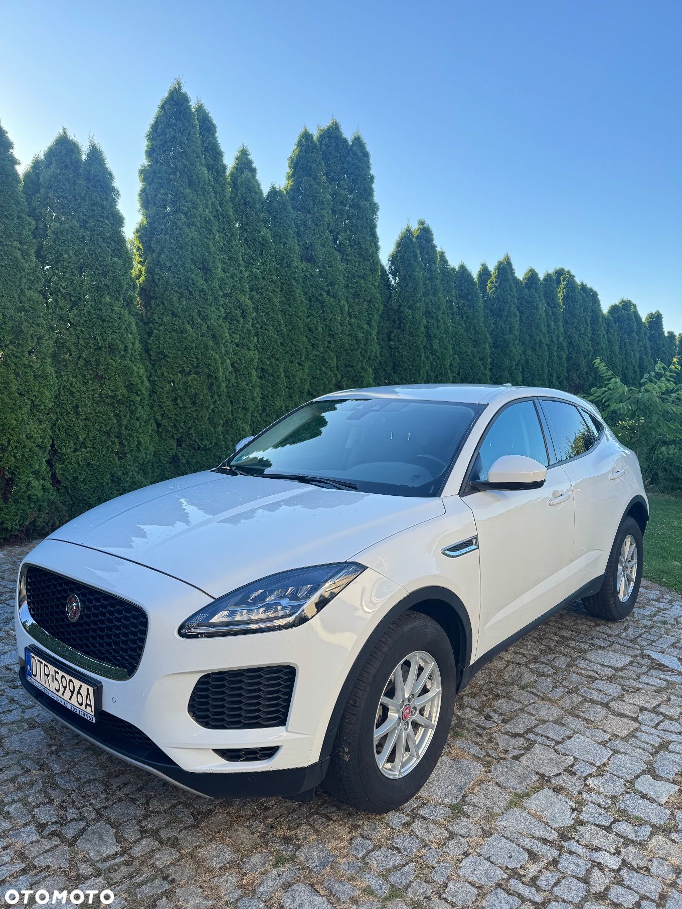 Jaguar E-Pace 2.0 i4D AWD - 1
