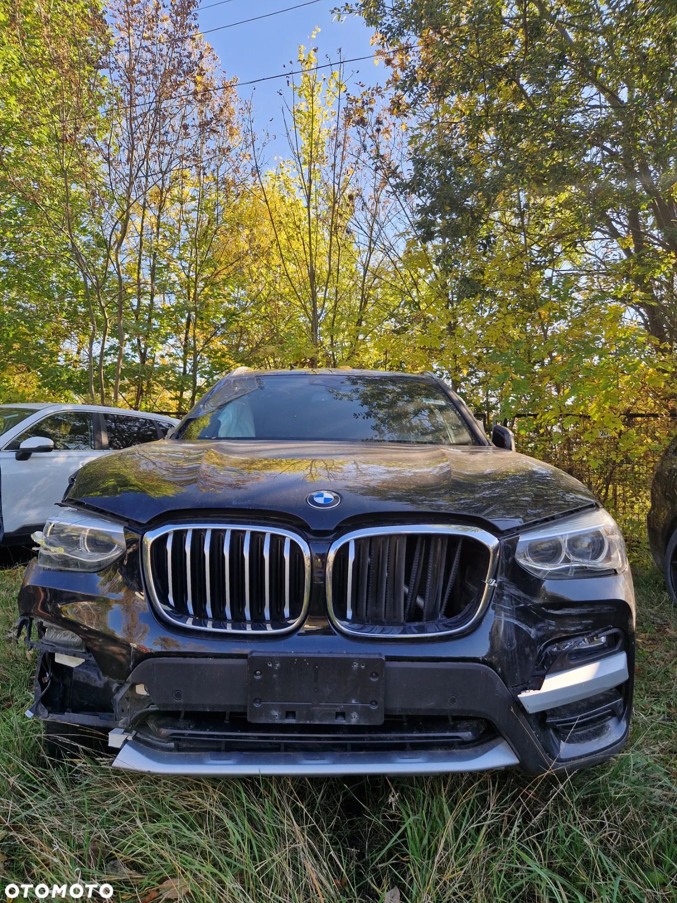 BMW X3 xDrive30i xLine - 1