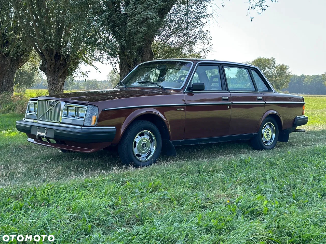 Volvo Seria 200 - 13