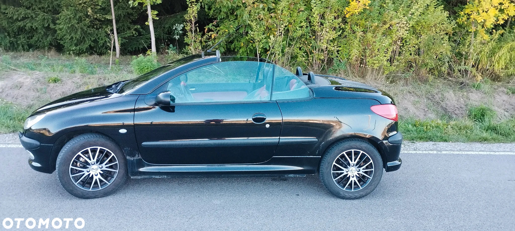Peugeot 206 CC 1.6 - 9