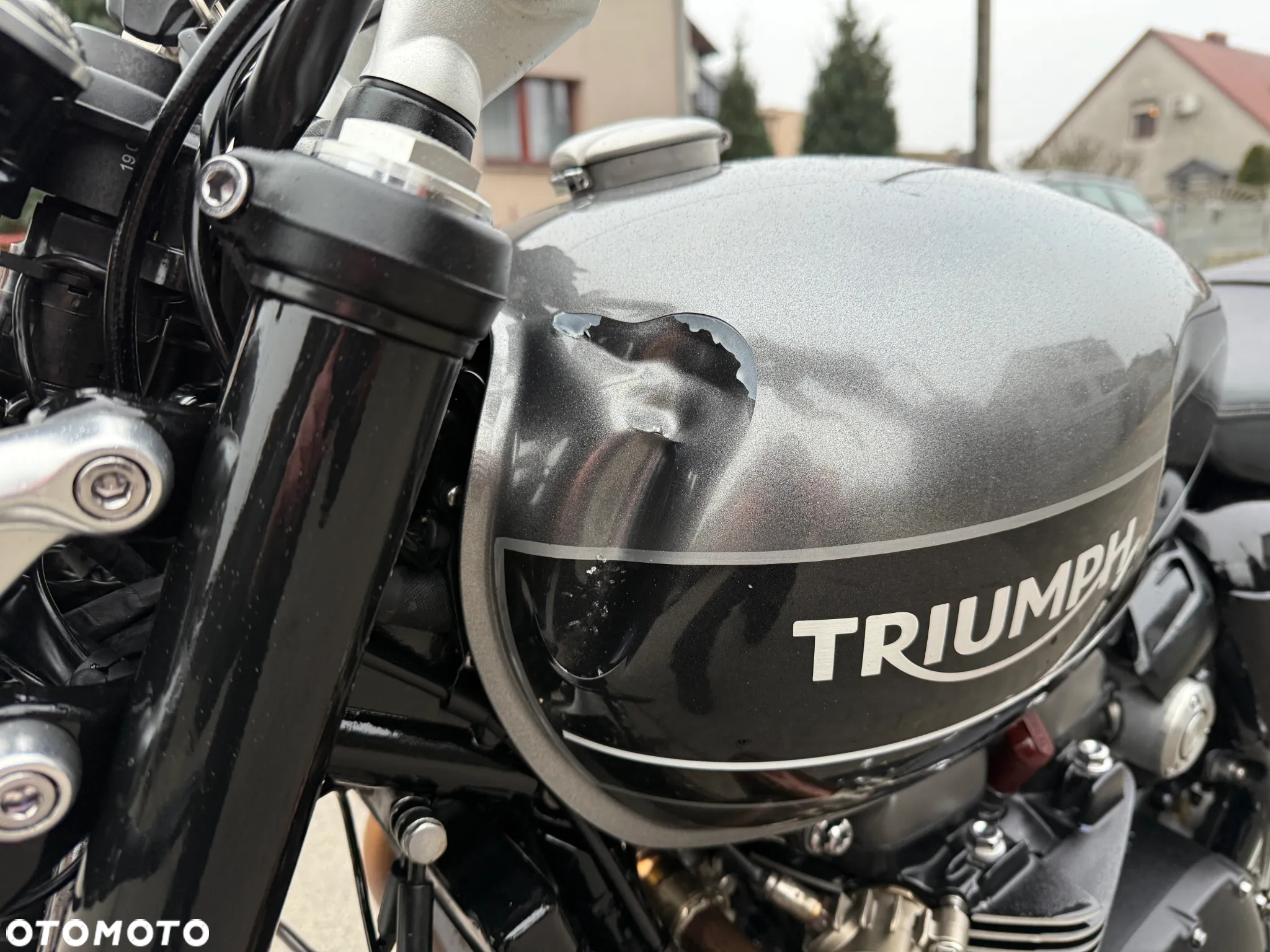 Triumph Speed Twin - 15