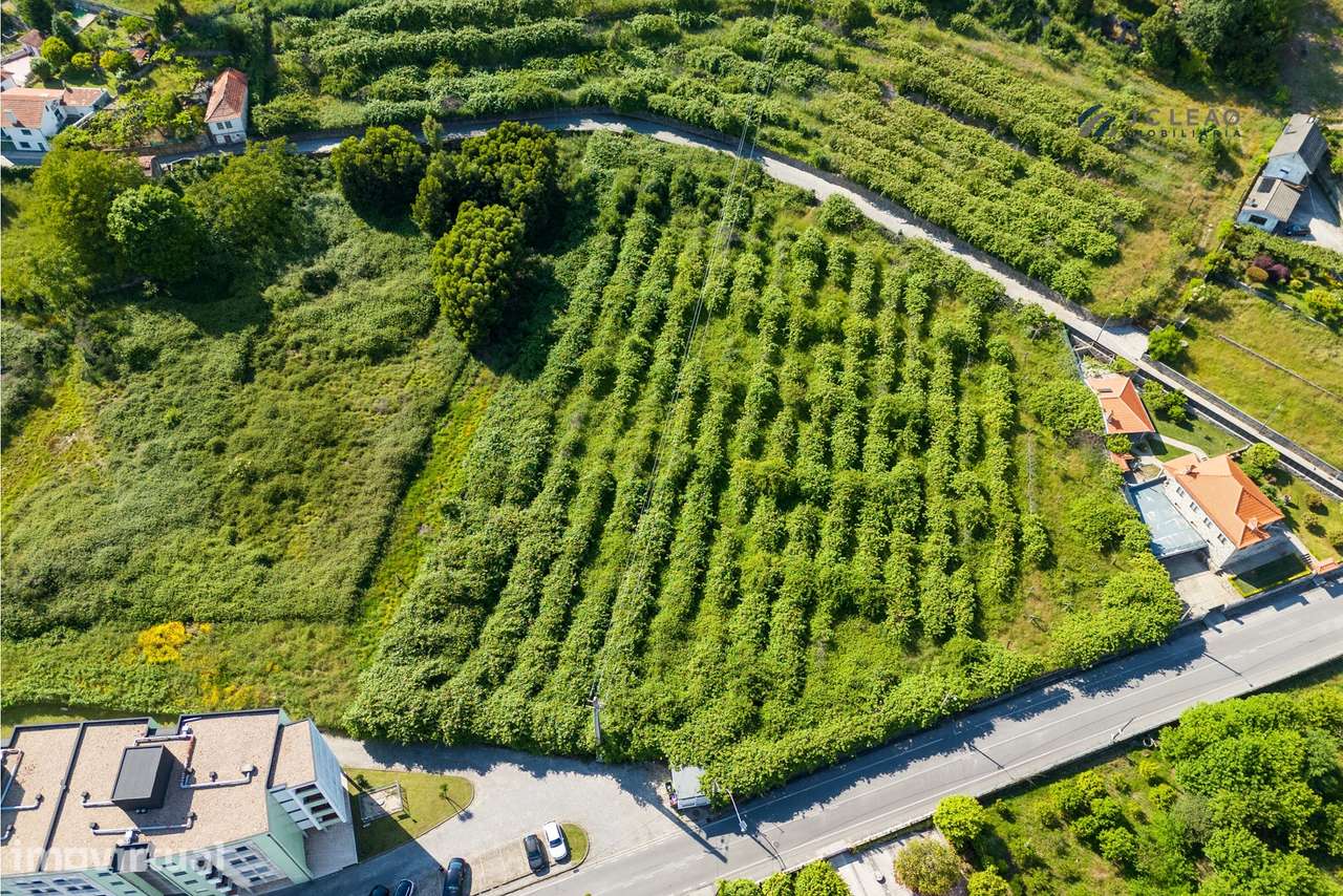 Terreno Rustico c/ 7969m2, para construção no Centro de Baltar - Grande imagem: 3/20
