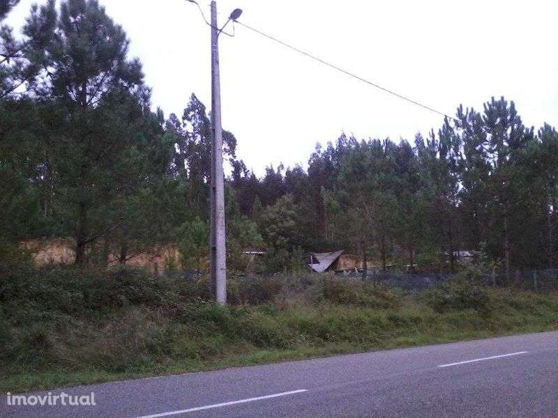 Terreno Rústico Para Construção De Moradia - Landal / Caldas Da Rainha - Grande imagem: 4/5