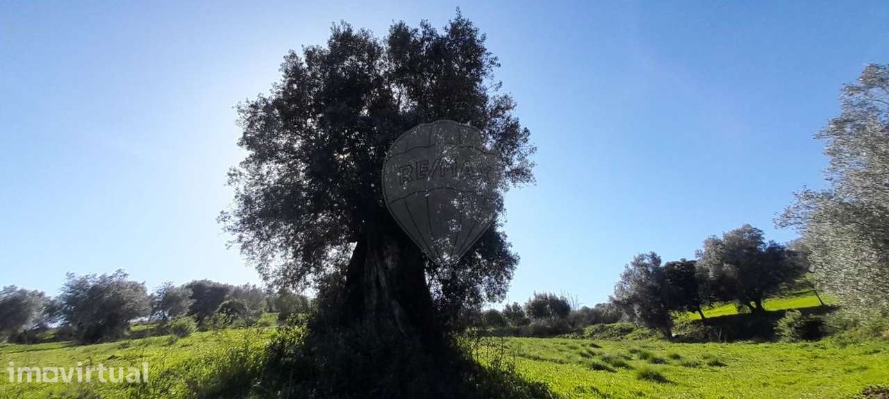Terreno  para venda - Grande imagem: 4/10
