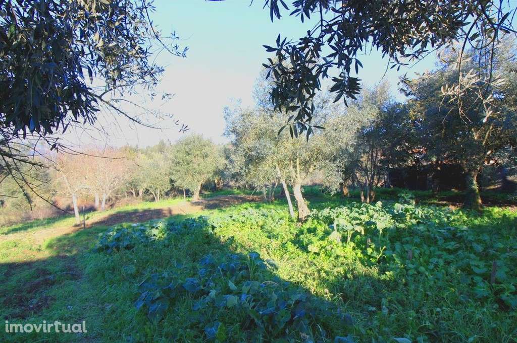 Moradia para Restaurar, 3 quartos, Penacova, Penacova - Grande imagem: 3/10