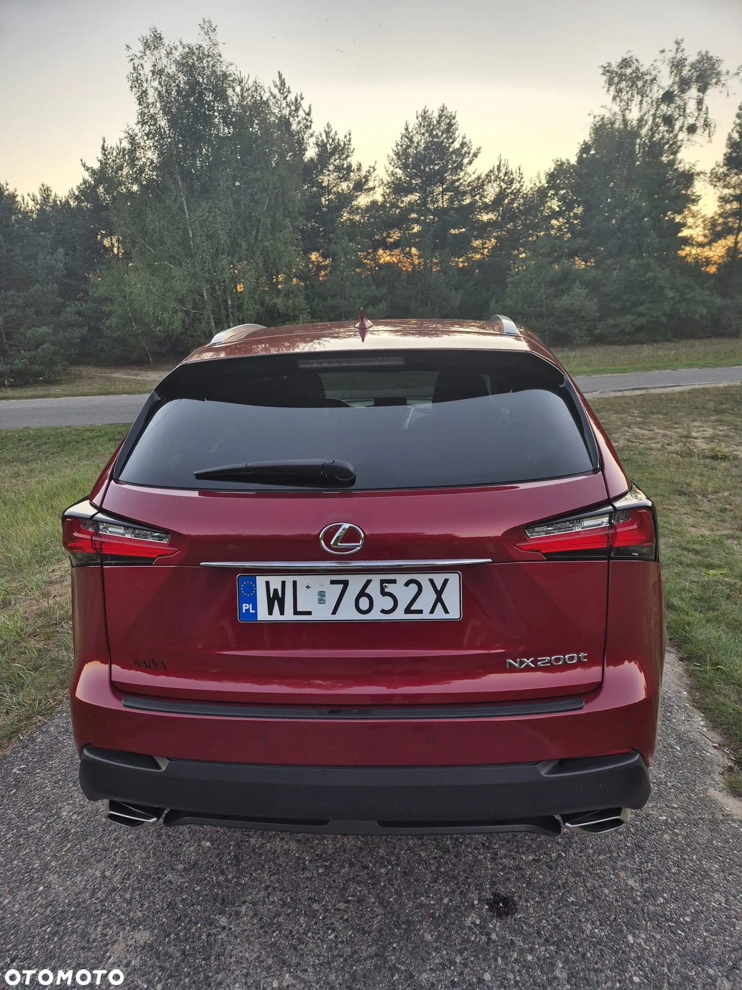 Lexus NX 200t Elite 2WD - 7