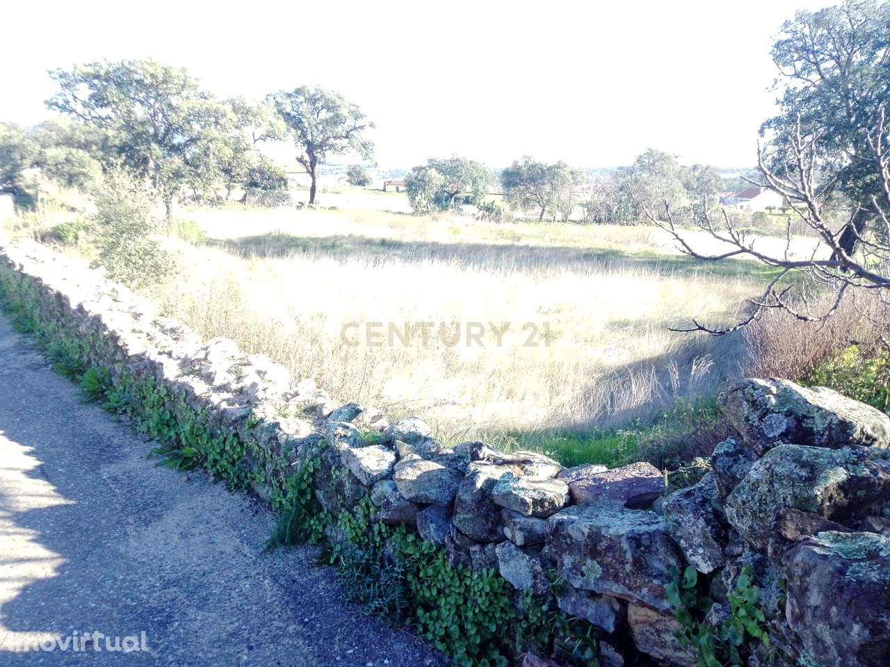 Terreno Rústico em Penha Garcia, Idanha-a-Nova| Castelo Branco - Grande imagem: 2/4