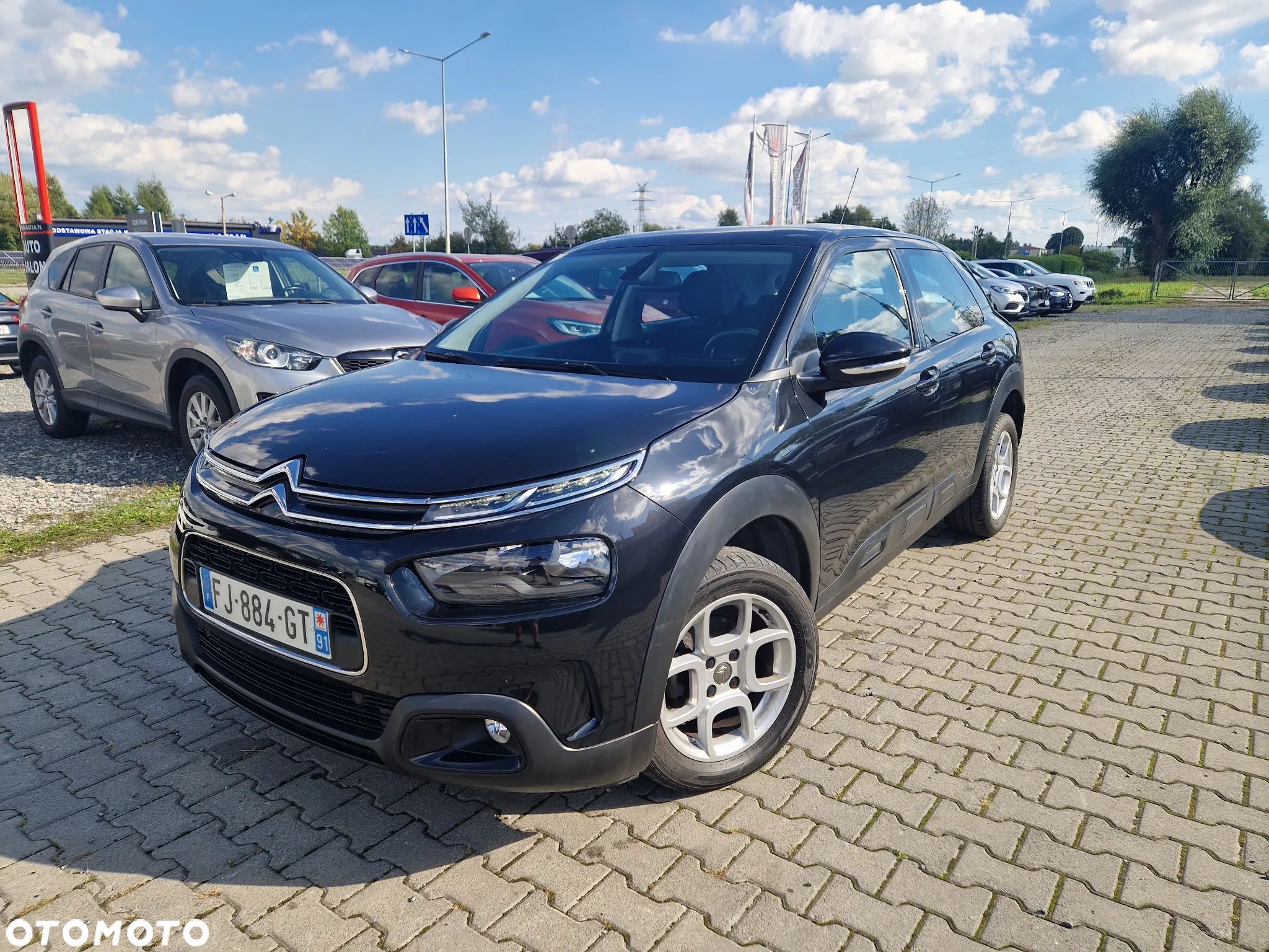Citroën C4 Cactus 1.2 PureTech Origins S&S EAT6 - 1