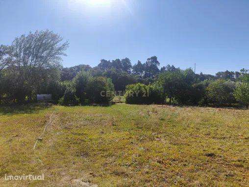 Terreno de 20.240 m², Torres Novas Chancelaria - Grande imagem: 2/6