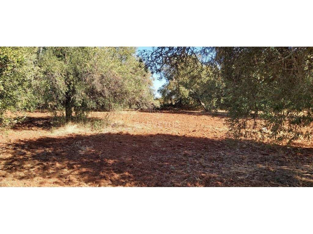 Terreno rústico, em zona agrícola, Ribeira de Alte, Paderne, Albufe... - Grande imagem: 2/24