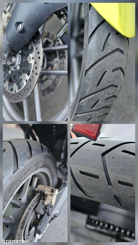 Triumph Tiger - 6