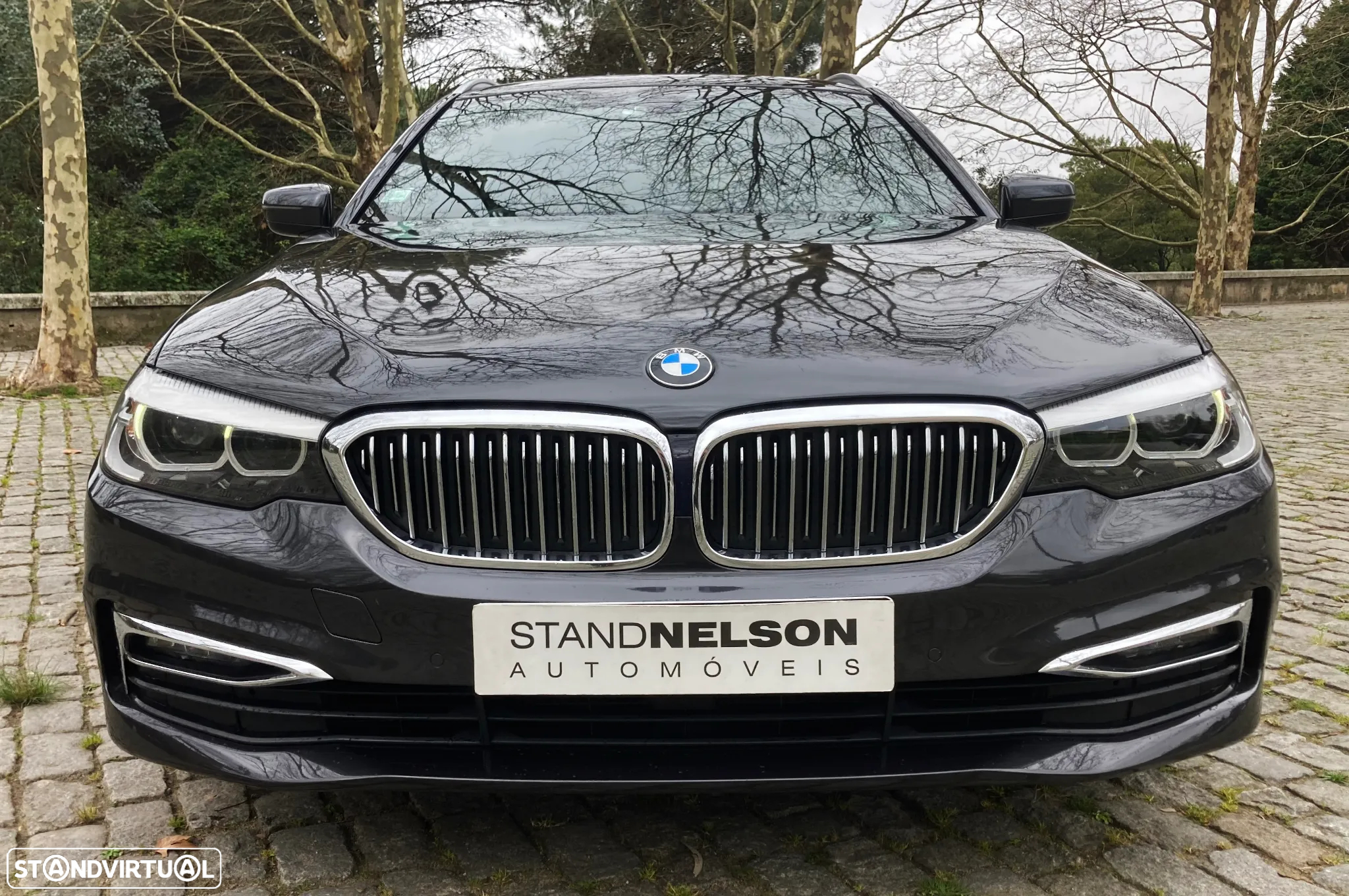 BMW 530 d Line Luxury Auto - 2