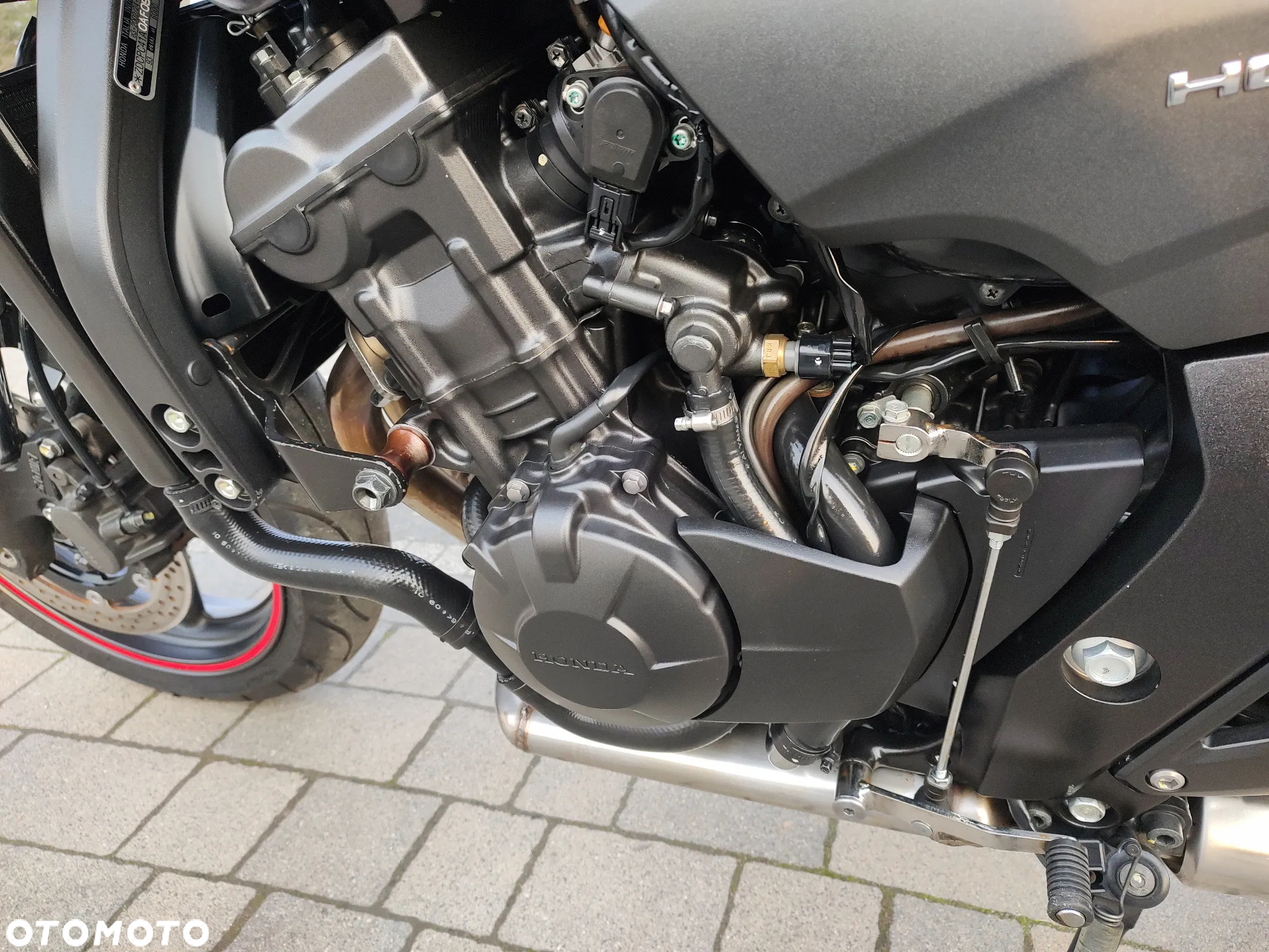 Honda Hornet - 12