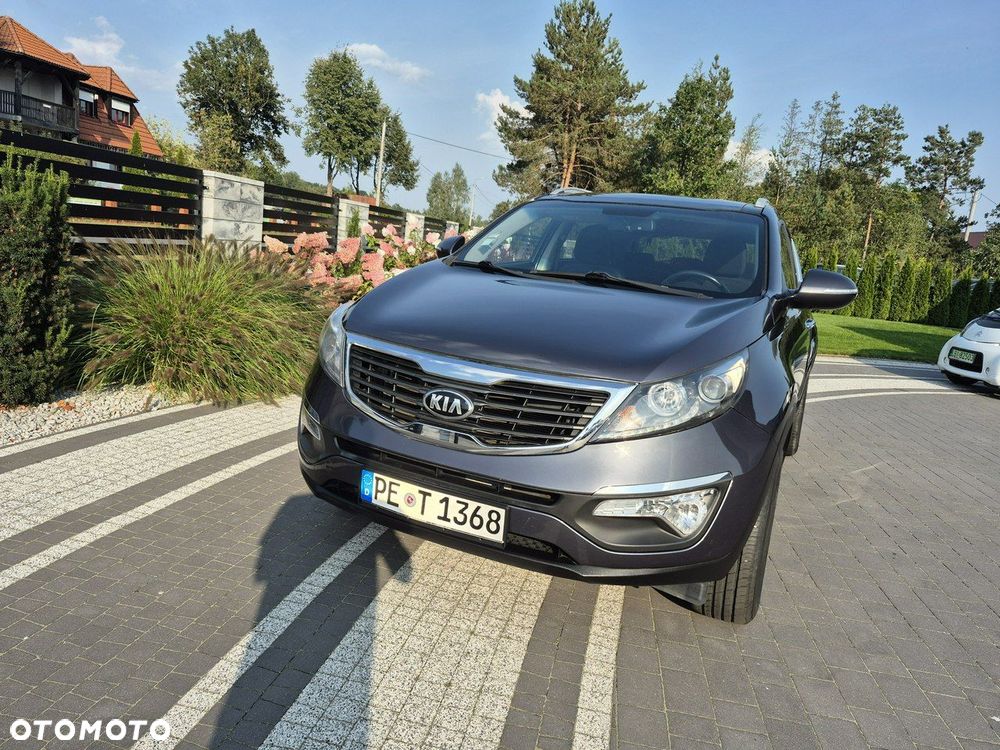 Kia Sportage - 19