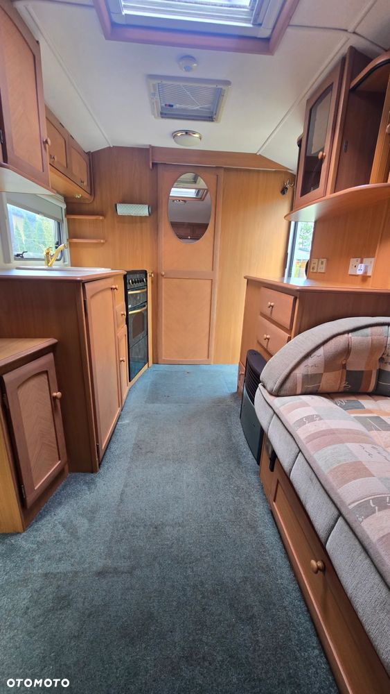 Avondale Avocet Golden - 6