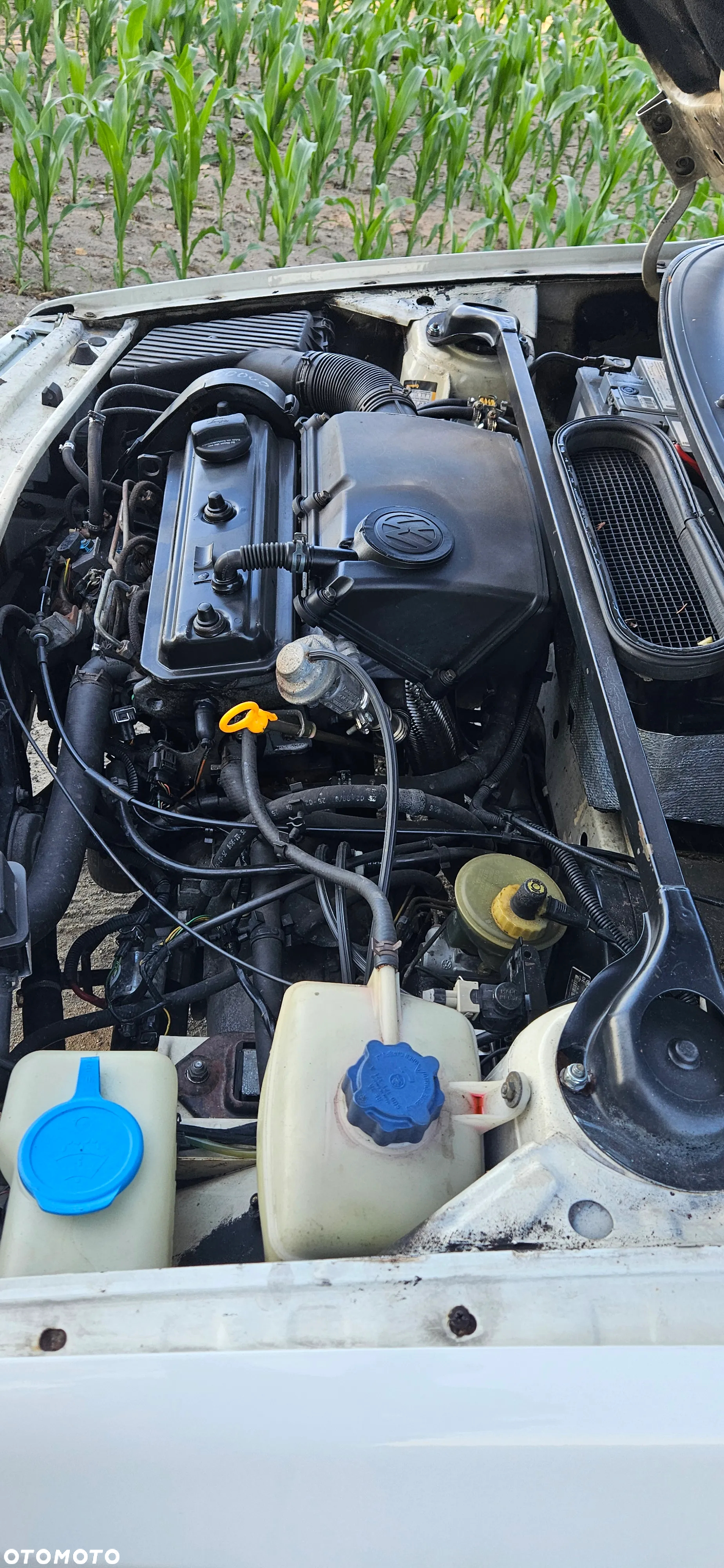 Volkswagen Caddy - 14