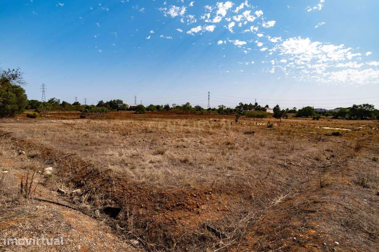 Terreno rustico de 8 040 m2 em Tunes - Grande imagem: 5/7