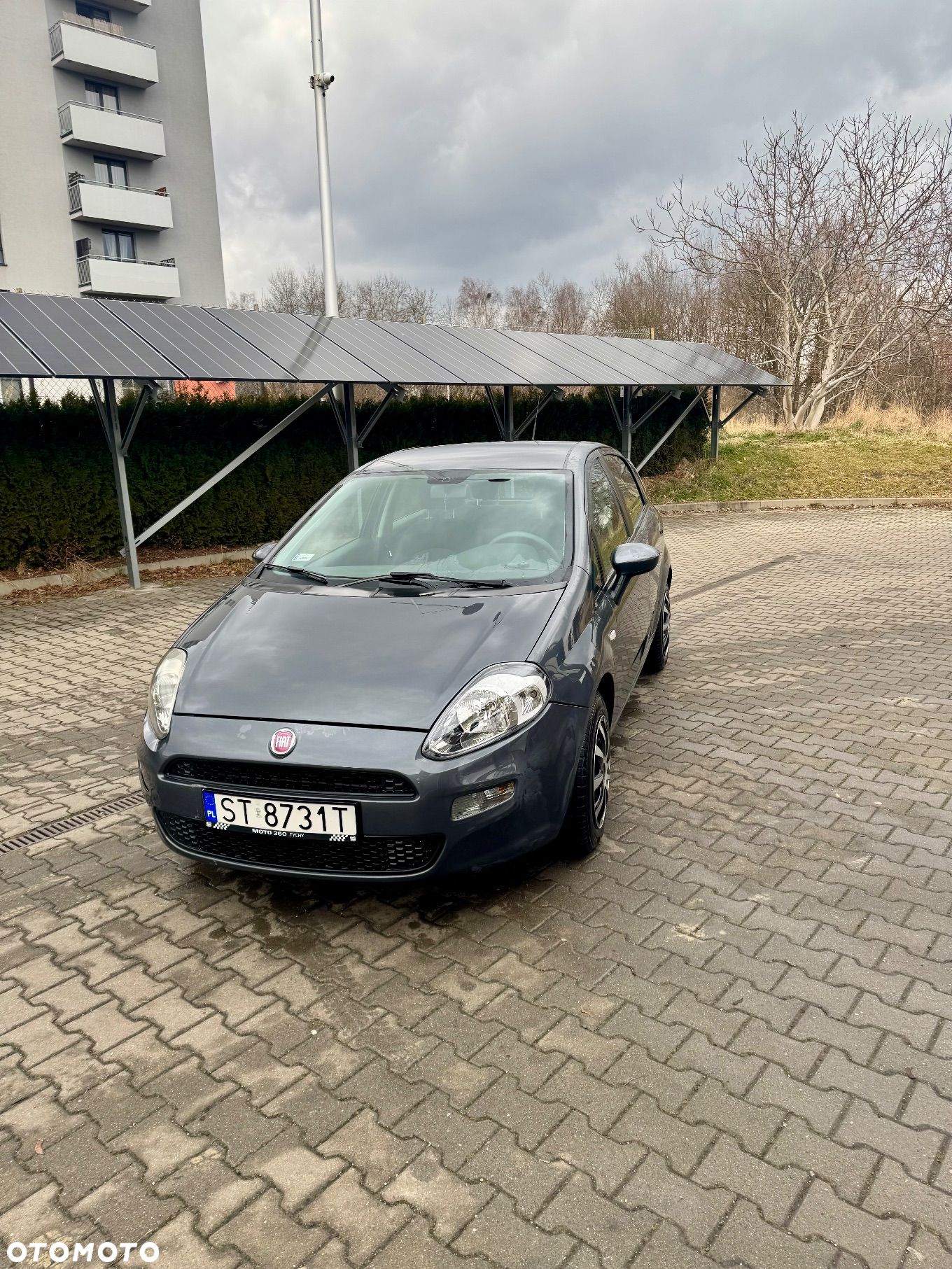 Fiat Punto 1.2 Easy - 1