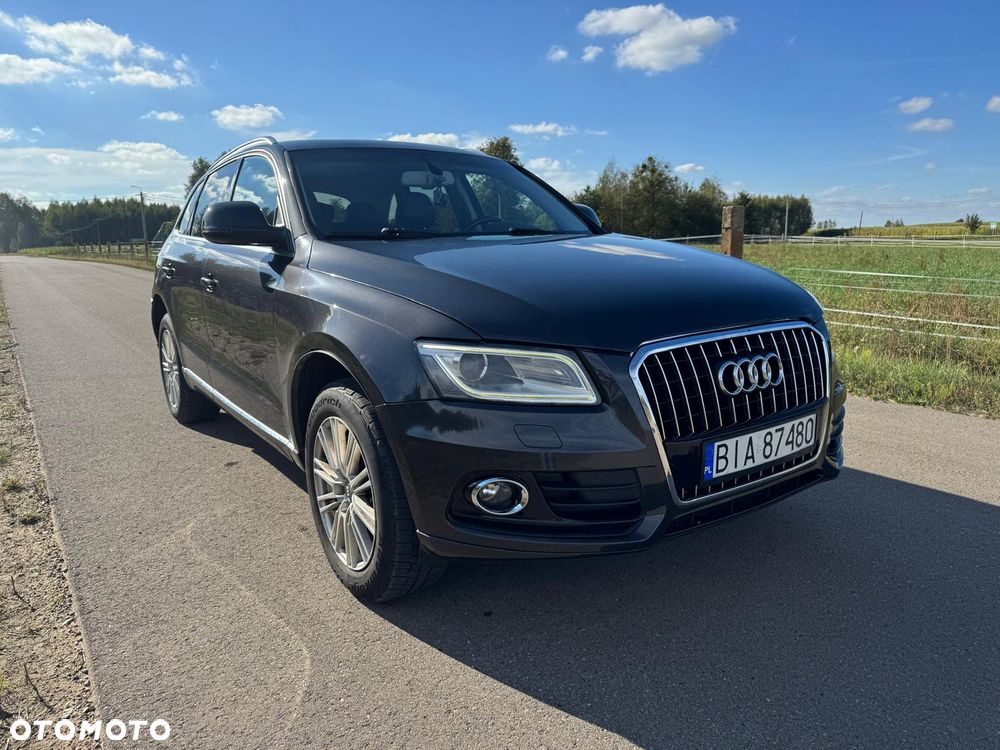 Audi Q5 - 19