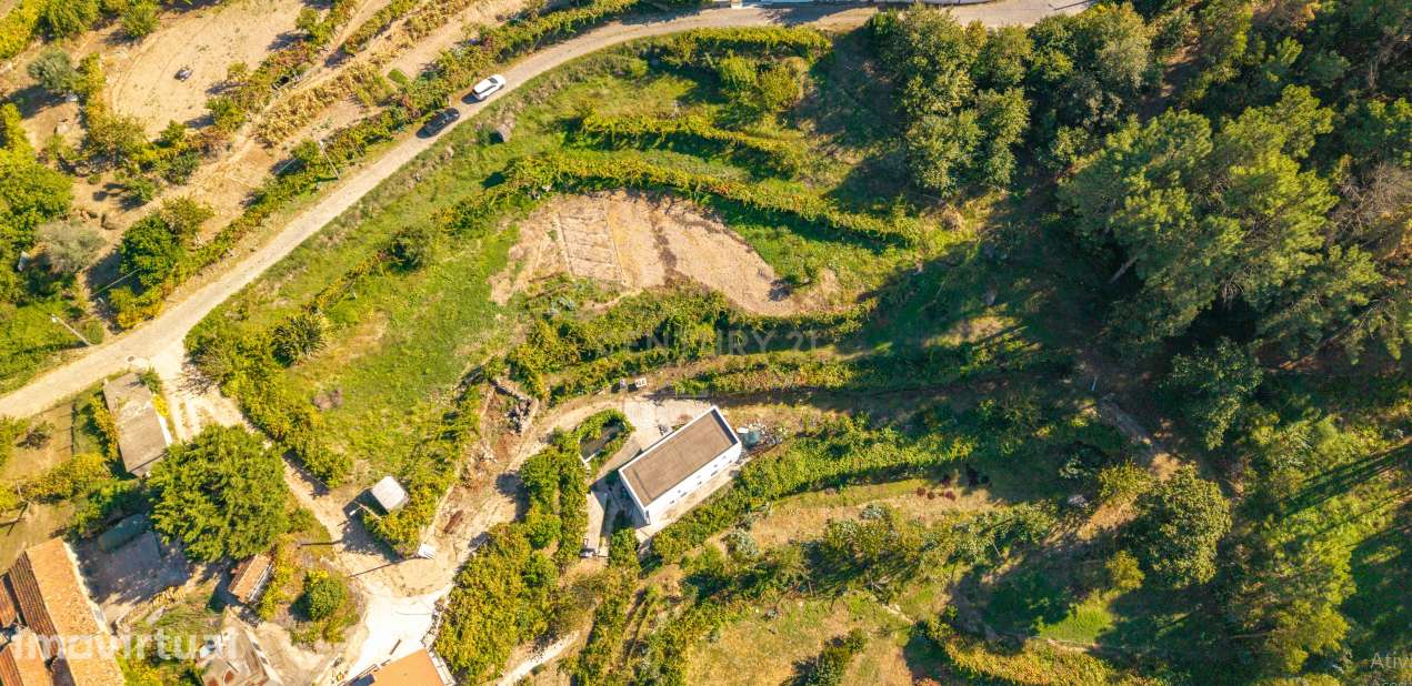 Terreno com ruína em Penha Longa, Marco de Canaveses — excelente local - Grande imagem: 5/5
