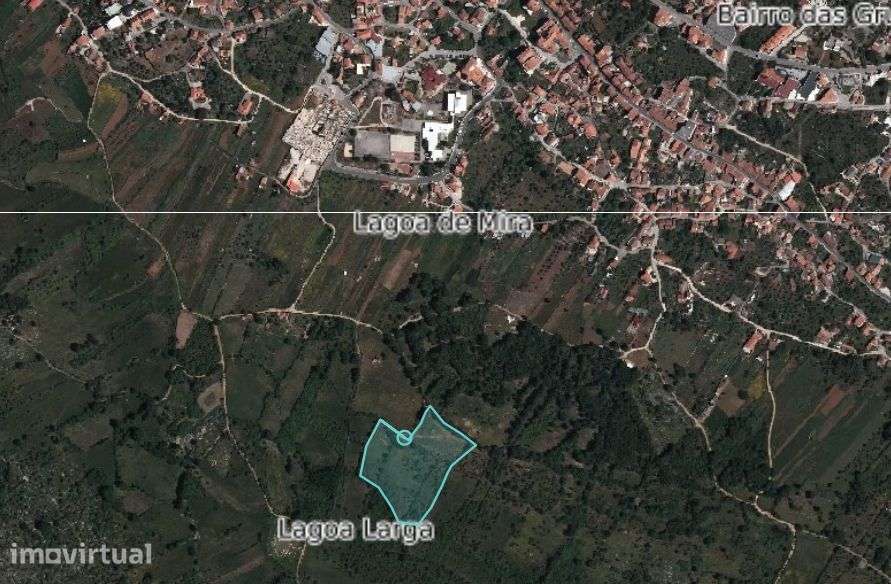 Terreno com 18280m2 em Mira de Aire - Grande imagem: 3/6