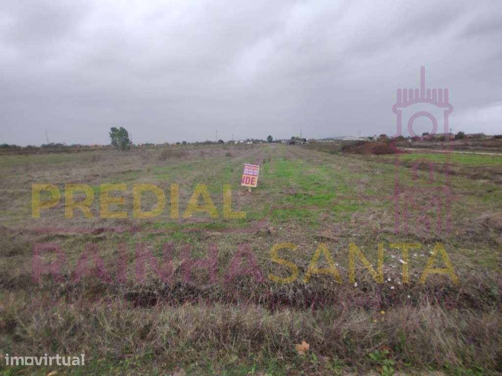 Terreno rustico-Alpiarça - Grande imagem: 2/7