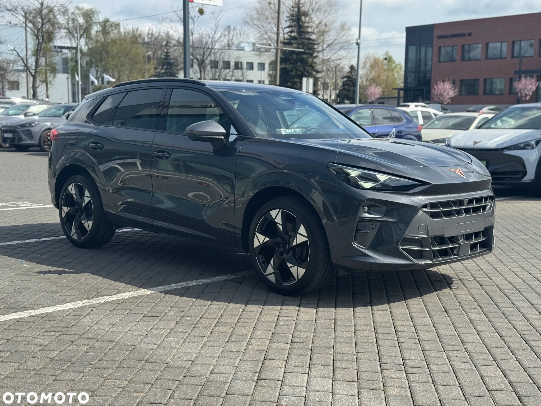 Cupra Terramar 2.0 TSI 4Drive VZ DSG - 6