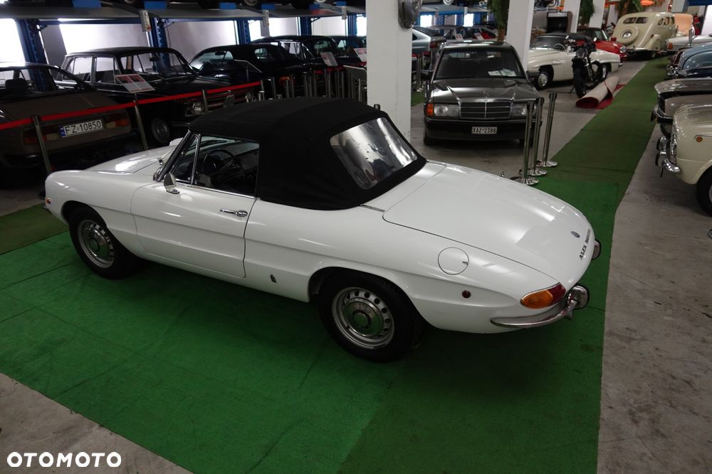 Alfa Romeo Spider - 3