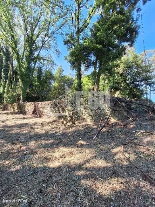 QUINTA COM RUINA OLIVEIRA DO DOURO - Grande imagem: 3/8