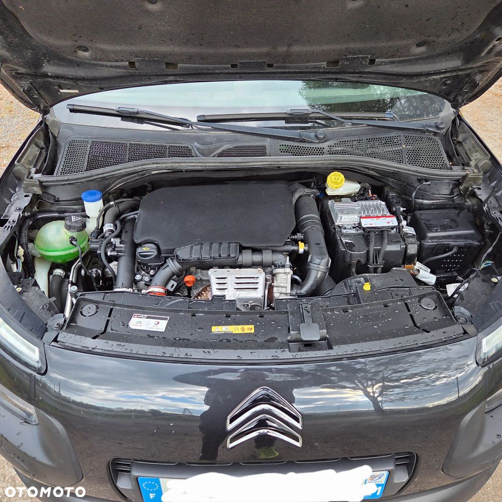 Citroën C4 Cactus Pure Tech 110 Stop&Start Shine - 13