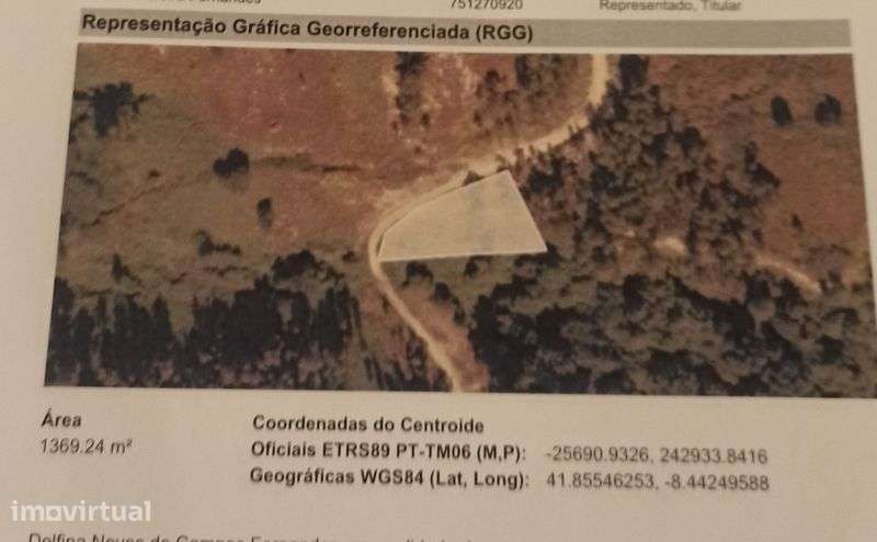 Bouça terreno florestal - Grande imagem: 4/4