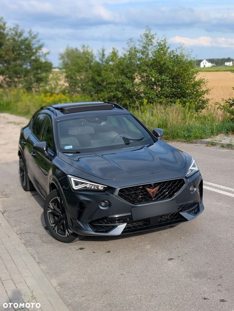 Cupra Formentor - 15