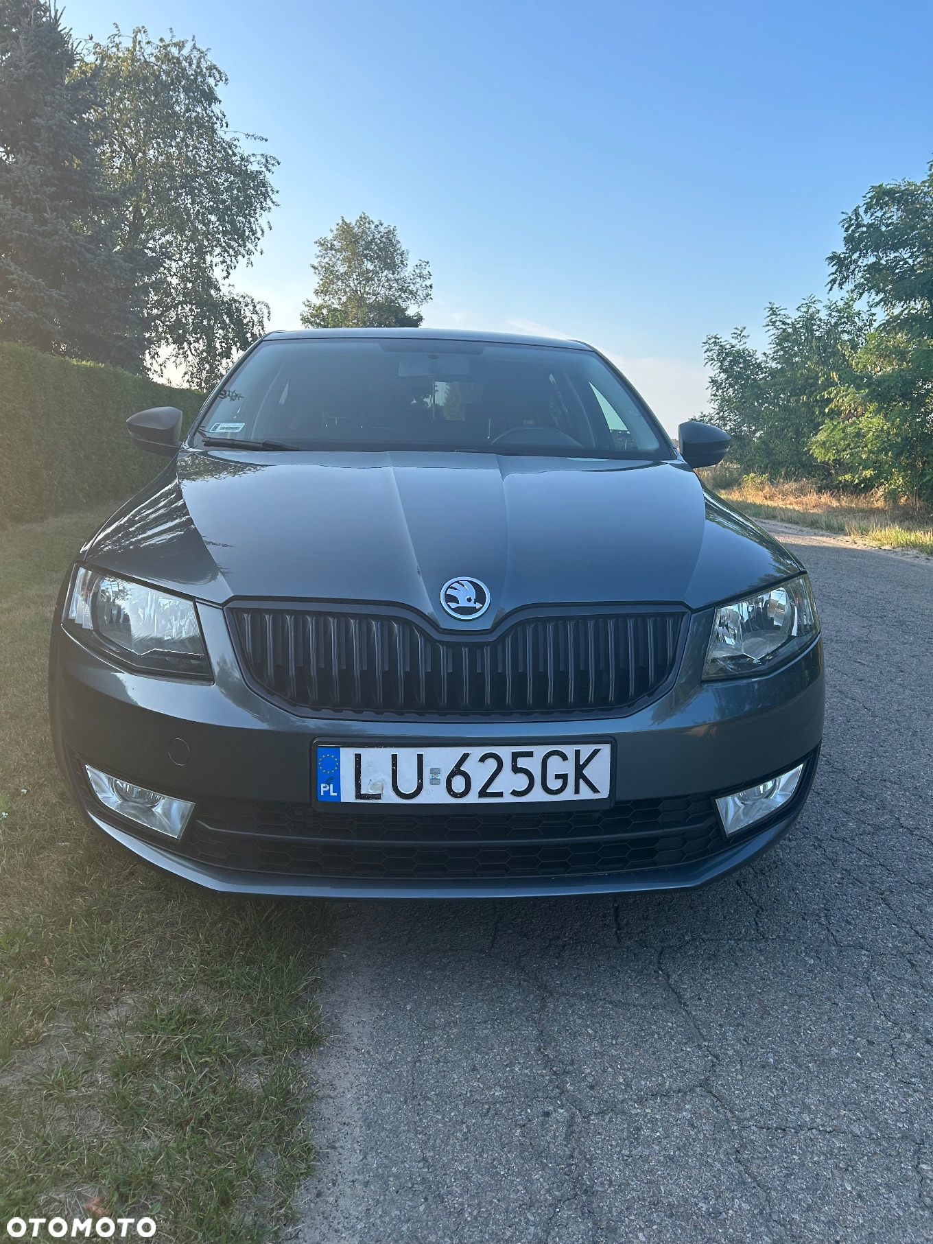 Skoda Octavia 1.4 TSI Active - 6