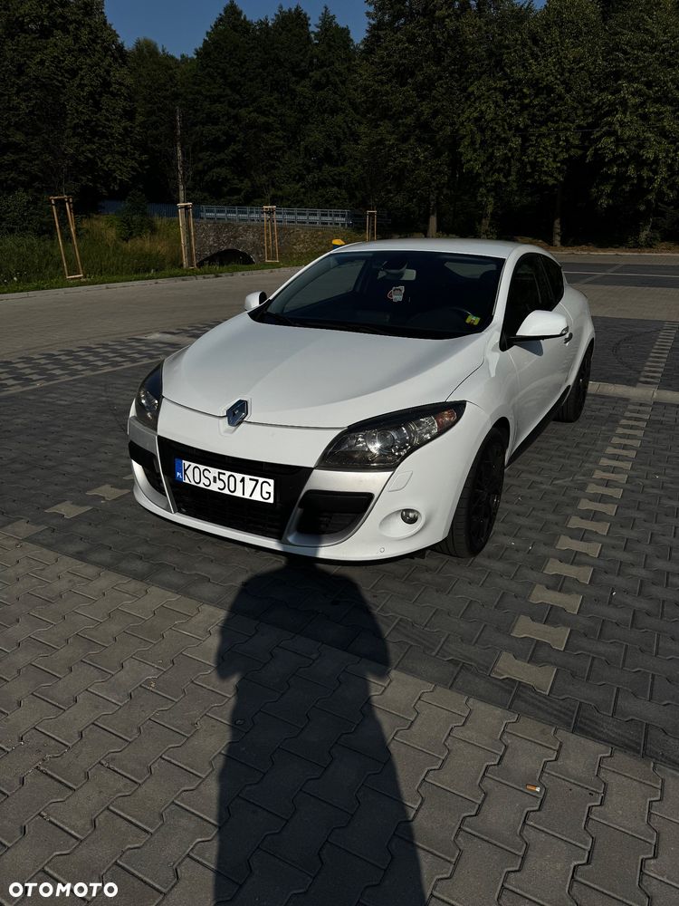 Renault Megane - 13