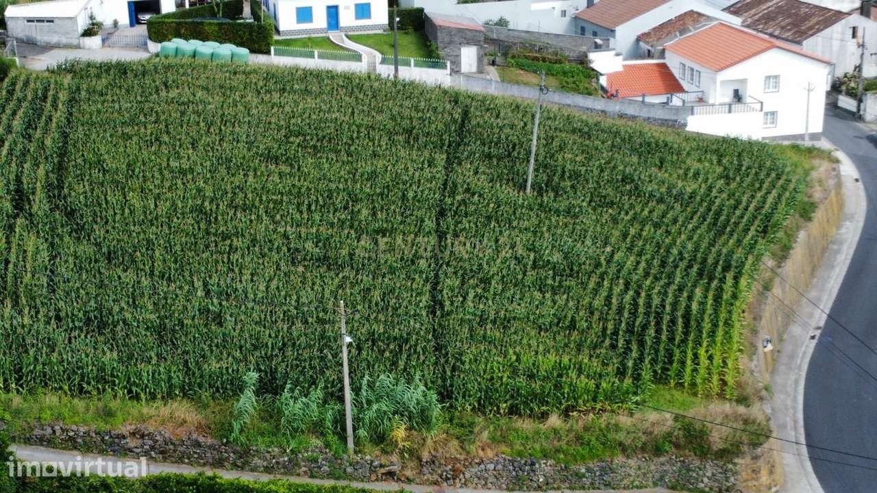 Terreno com Vista Mar em Ponta Garça, Vila Franca do Campo - Grande imagem: 4/6