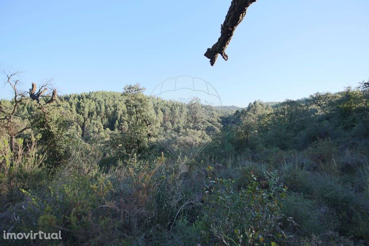 Terreno  para venda - Grande imagem: 3/4