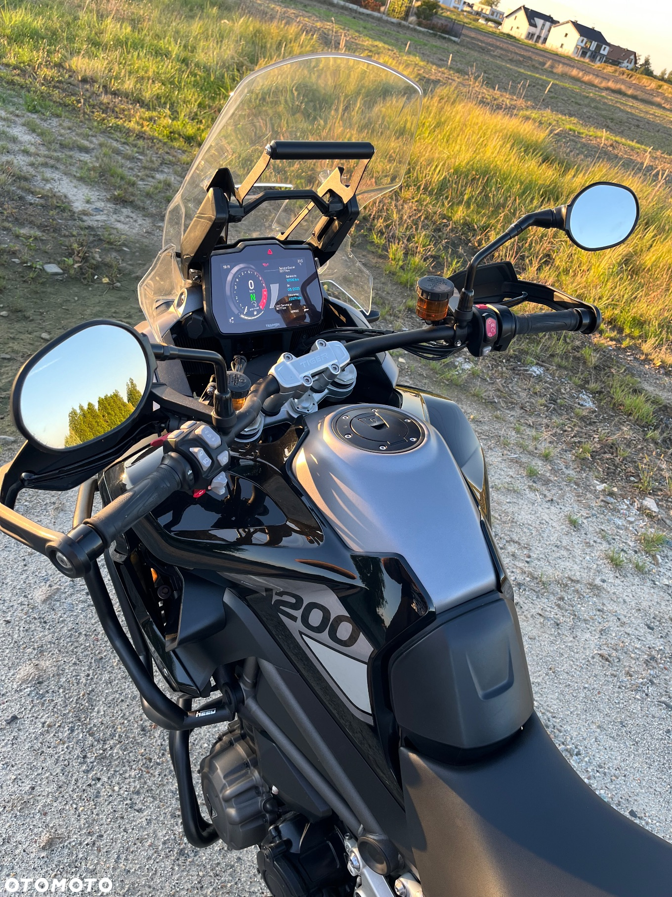 Triumph Tiger - 4