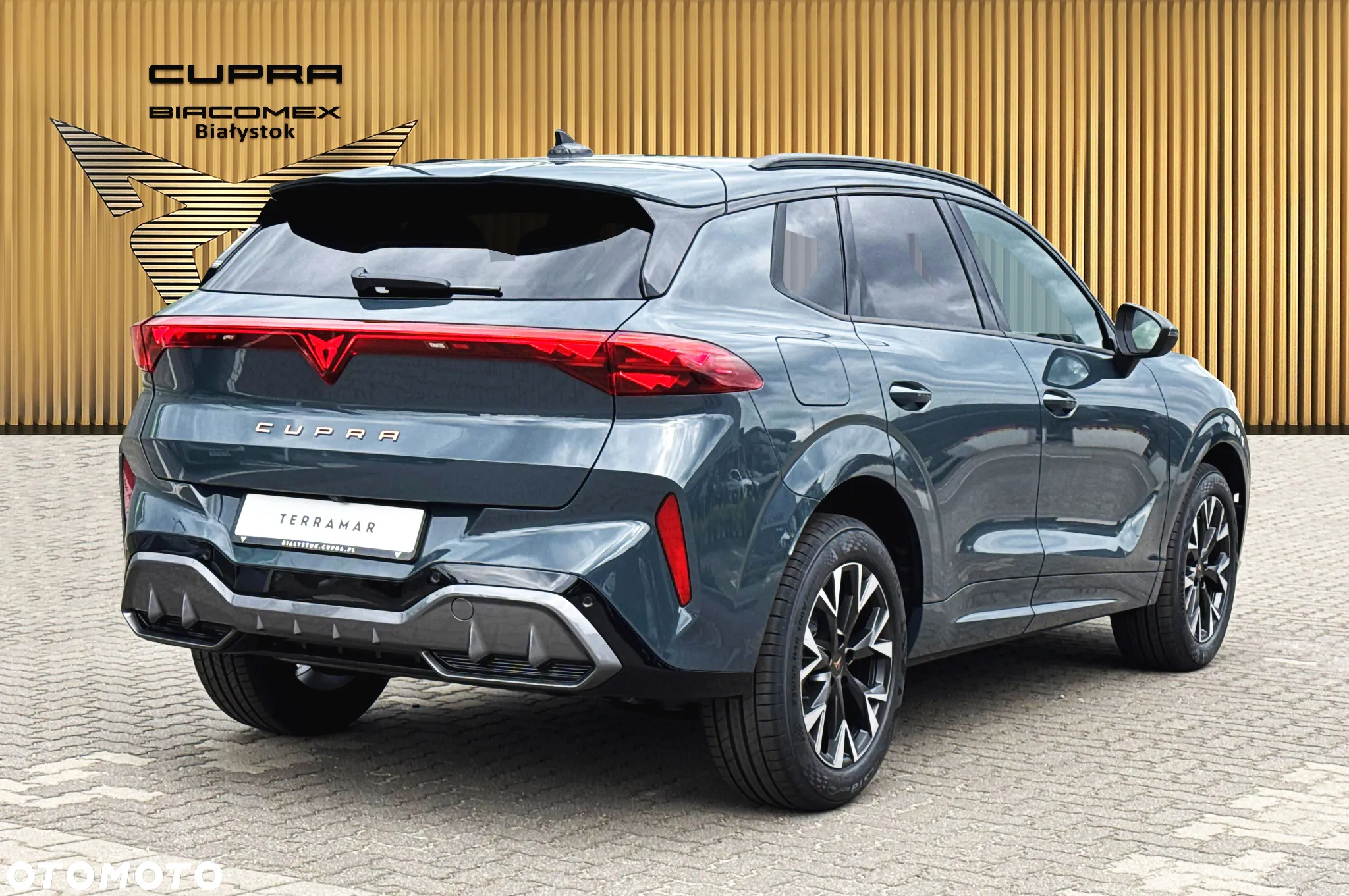 Cupra Terramar - 6