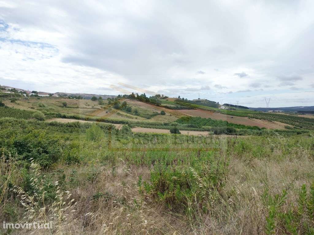 Terreno com 1440m2 com projeto aprovado - Grande imagem: 3/12