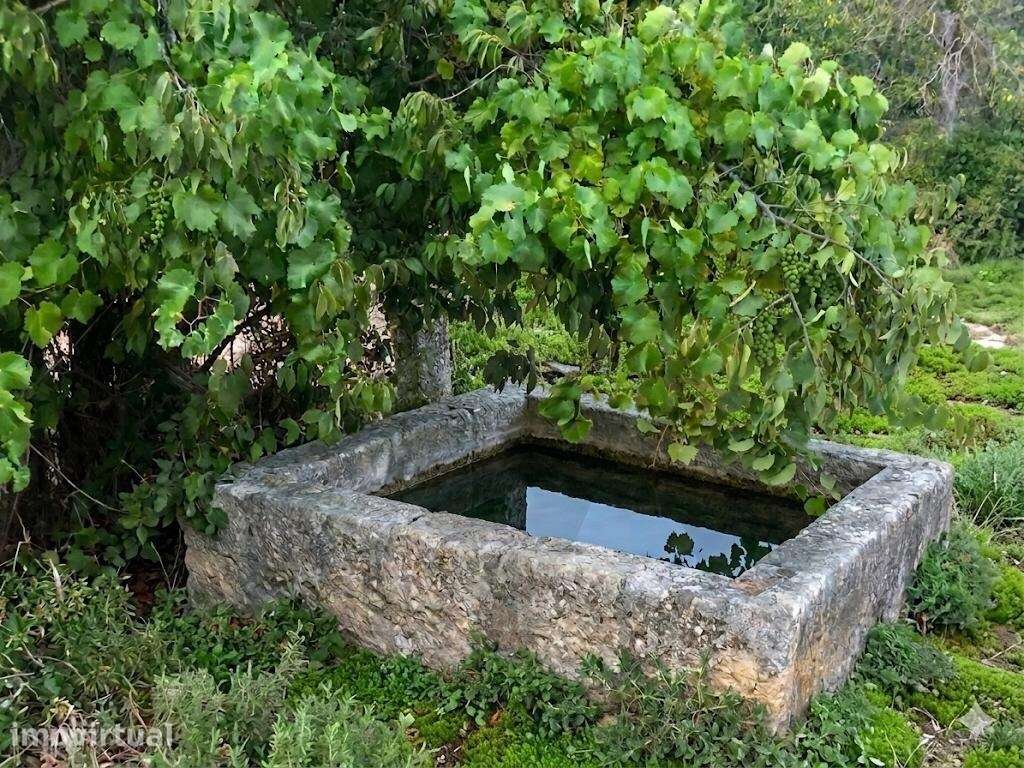 Propriedade Exclusiva na Touça (V.N. de Foz-Côa): Moradia, Palheiros e - Grande imagem: 5/13