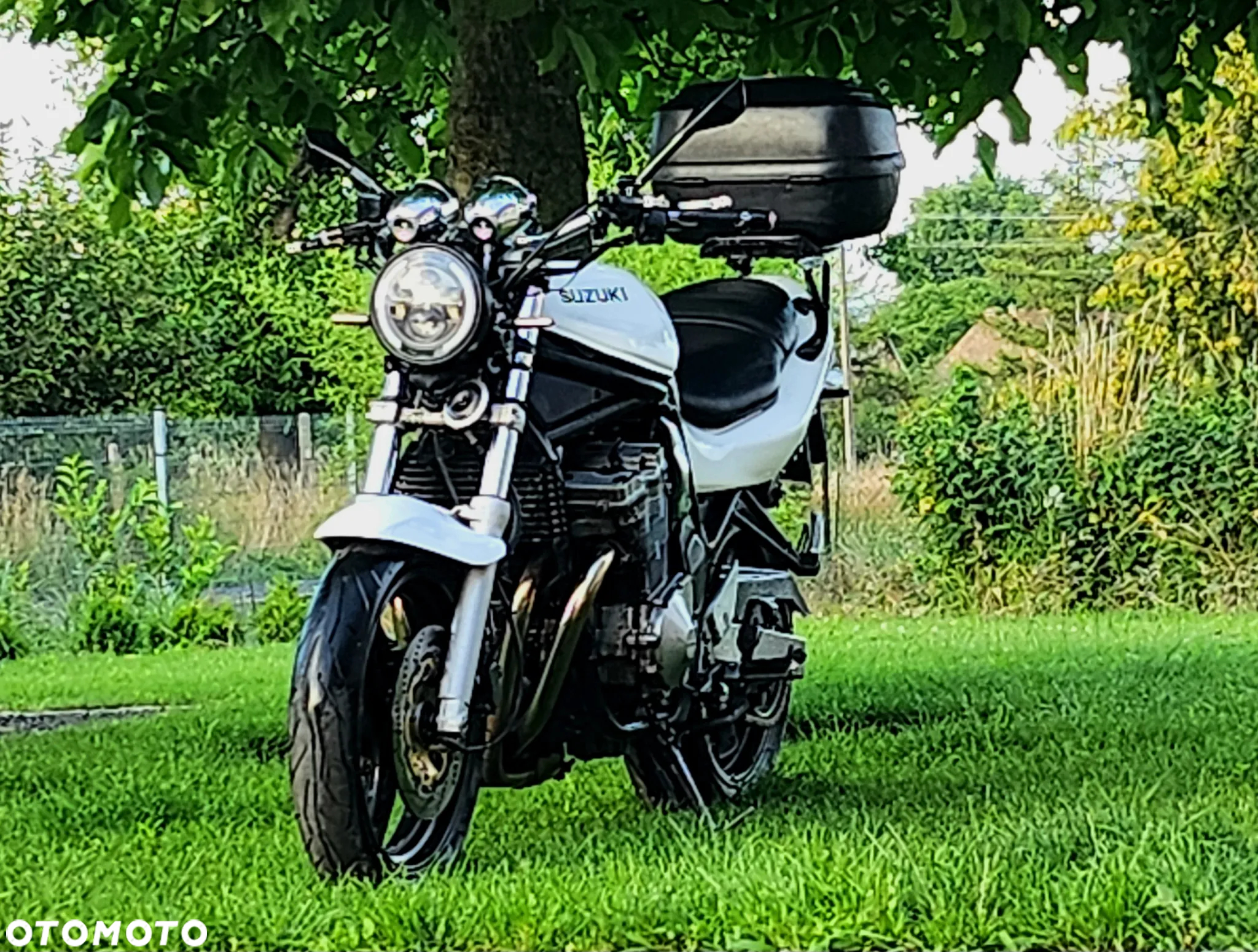 Suzuki Bandit - 2