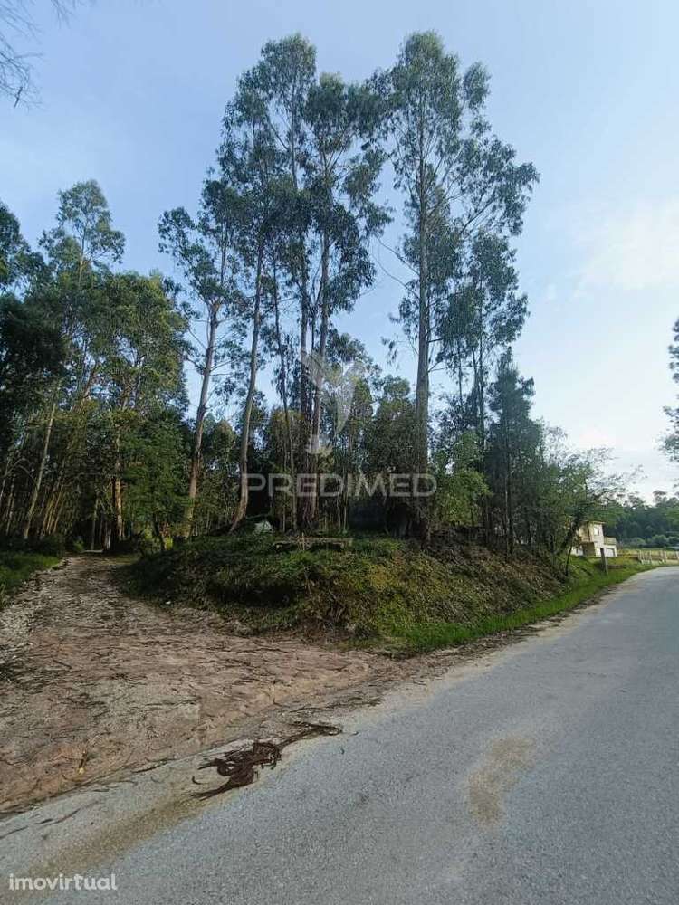 Terreno com 2850m2 para construção de uma moradia em Gondemaria - Grande imagem: 3/17