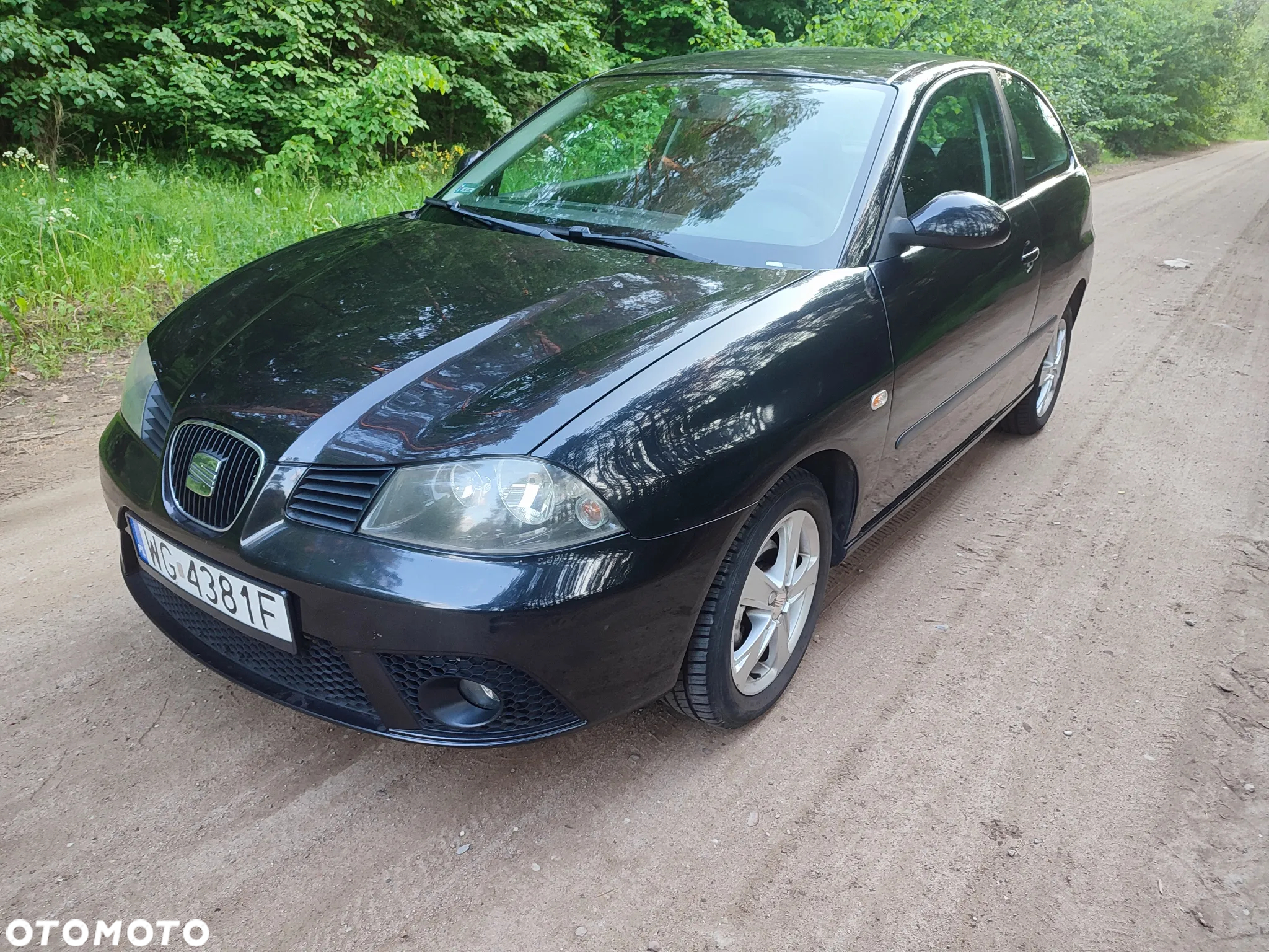 Seat Ibiza - 11