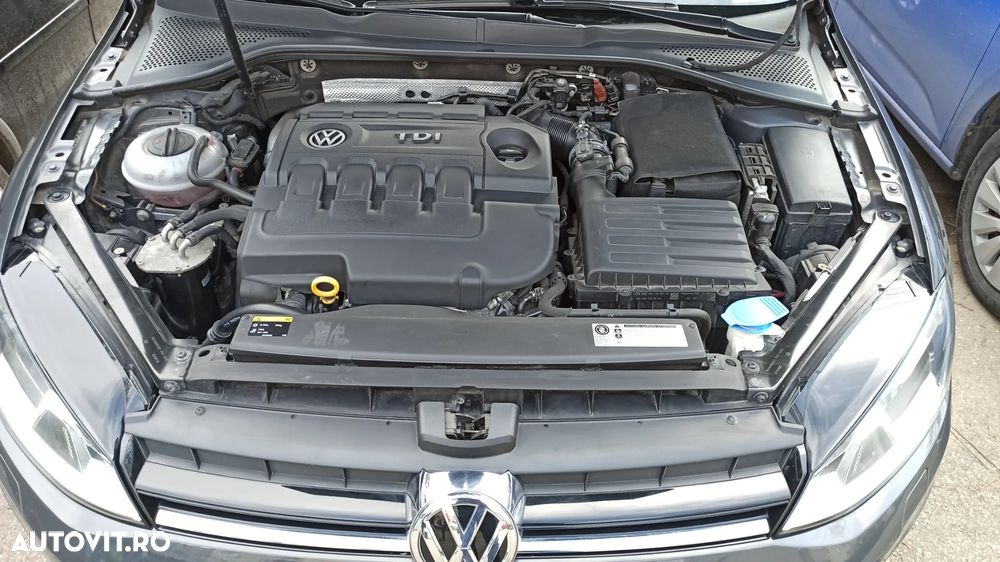 Volkswagen Golf - 15