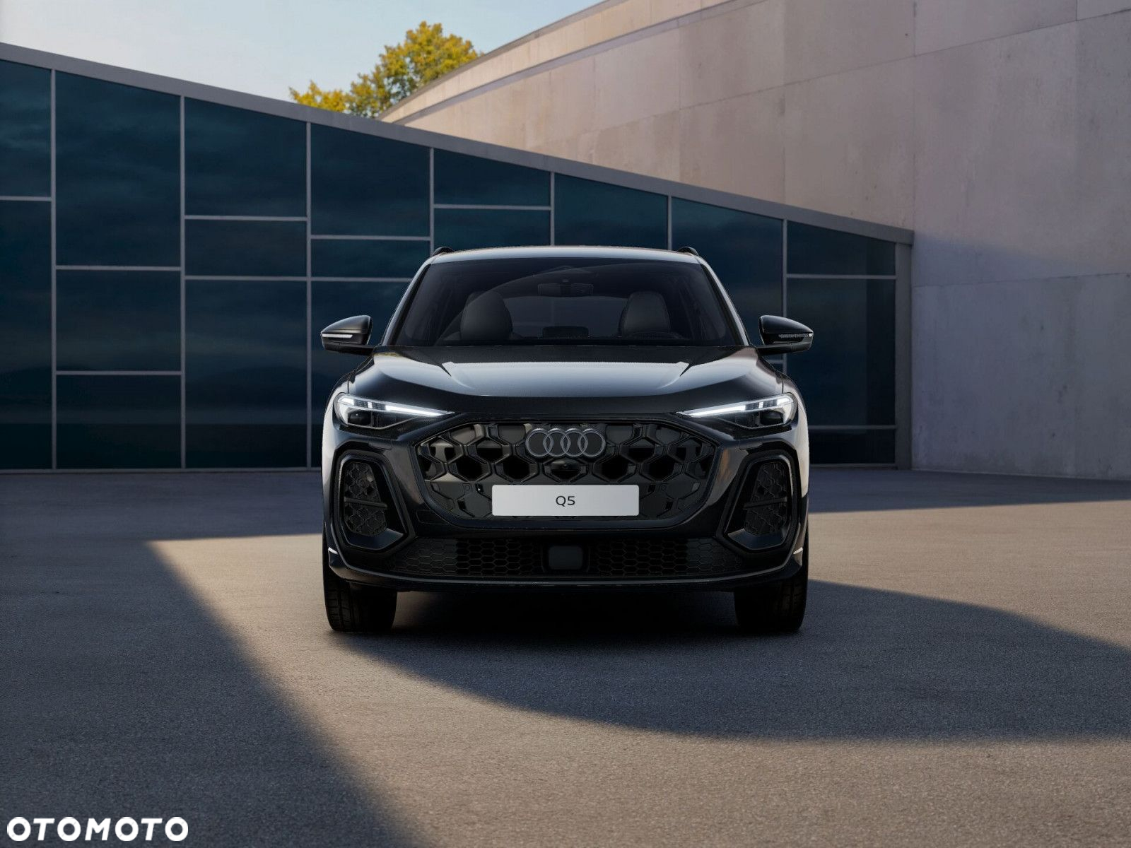 Audi Q5 - 2