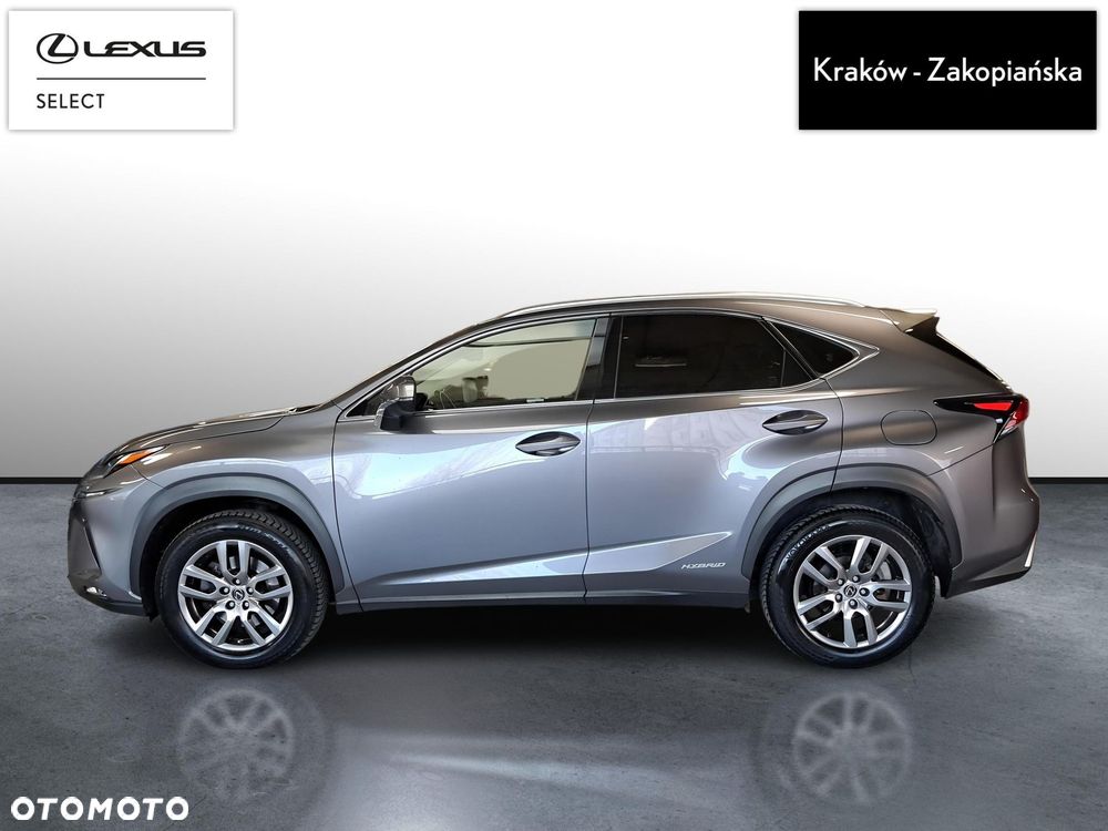 Lexus NX 300h Business Edition AWD - 5