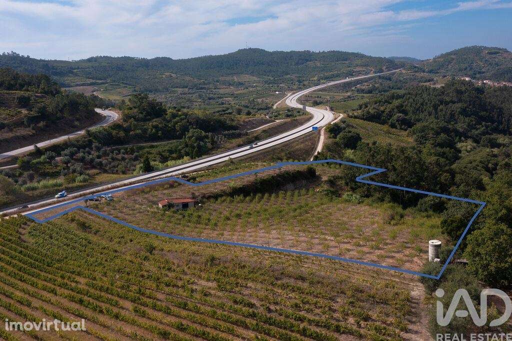 Terreno em Lamas - Grande imagem: 3/30