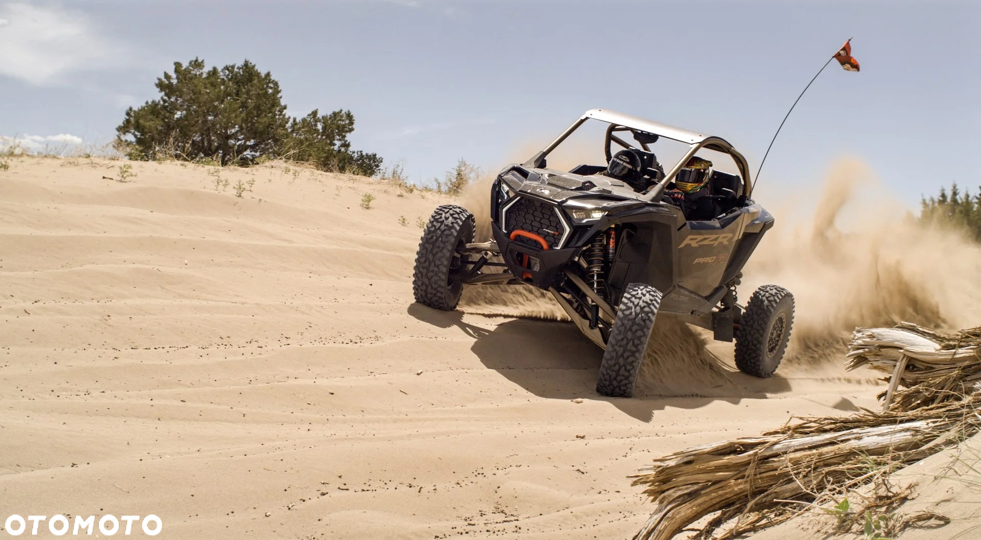 Polaris RZR - 10