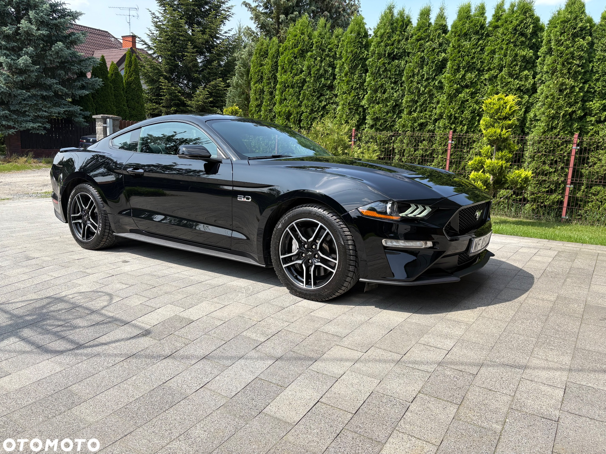 Ford Mustang Fastback 5.0 Ti-VCT V8 MACH1 - 11