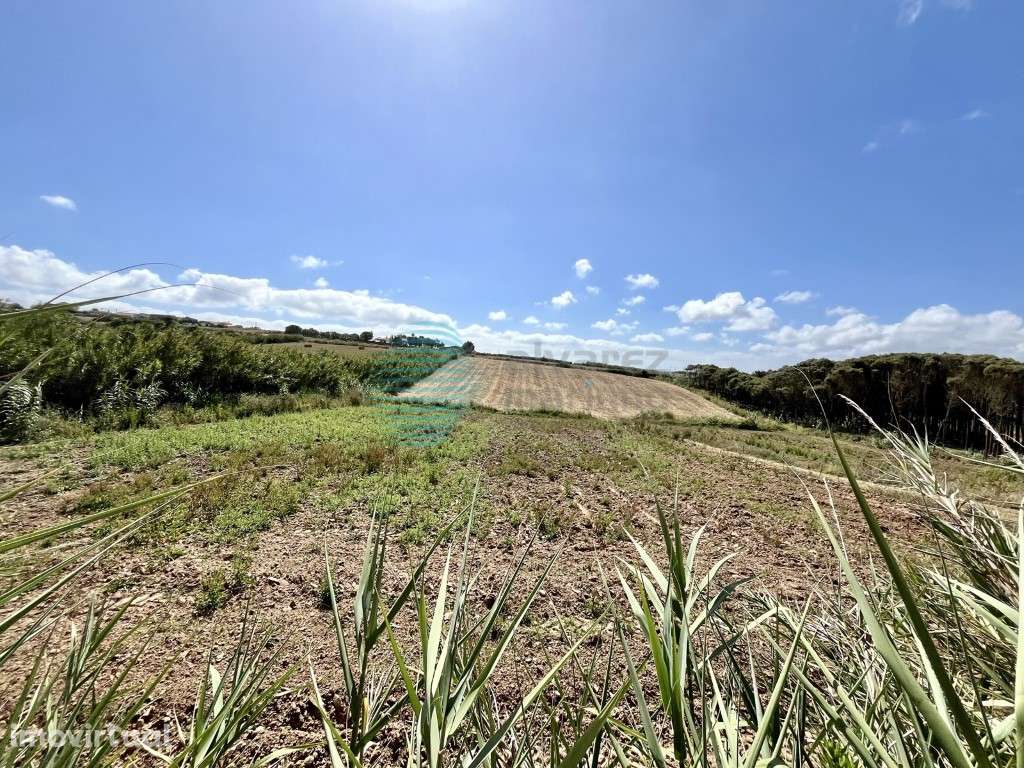 Terreno agrícola localizado perto da Praia Azul - Grande imagem: 3/8